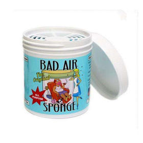 【一般贸易】美国百思帮Bad Air Sponge 空气净化剂 400g 去异味 除甲醛 新家新车办公室必备