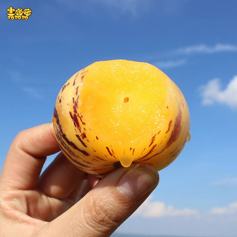 土哆哆云南石林树上熟人参果圆果现摘发货 清甜爆汁皮薄