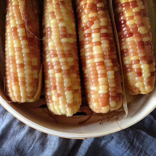 云南西双版纳香糯小玉米  4斤 （真空袋保鲜发货） 商品图8