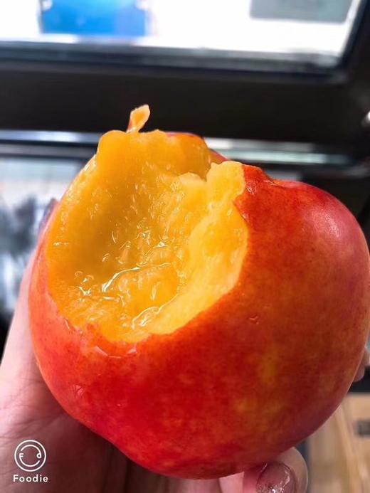 【油桃】油桃中最晚成熟的品种，鲜红色，个头饱满，果形圆润，口感脆甜不带酸，放软食用味道更佳，自带花香气息， 商品图1