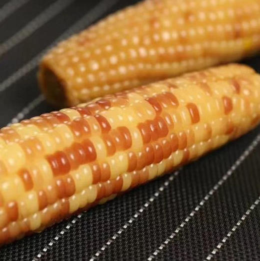 云南西双版纳香糯小玉米  4斤 （真空袋保鲜发货） 商品图9