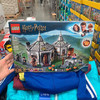 乐高 LEGO 75947 积木玩具 哈利波特 海格小屋-营救巴克比克 496块 商品缩略图0