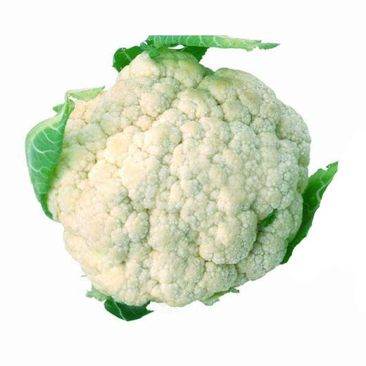 有机菜花约500g个