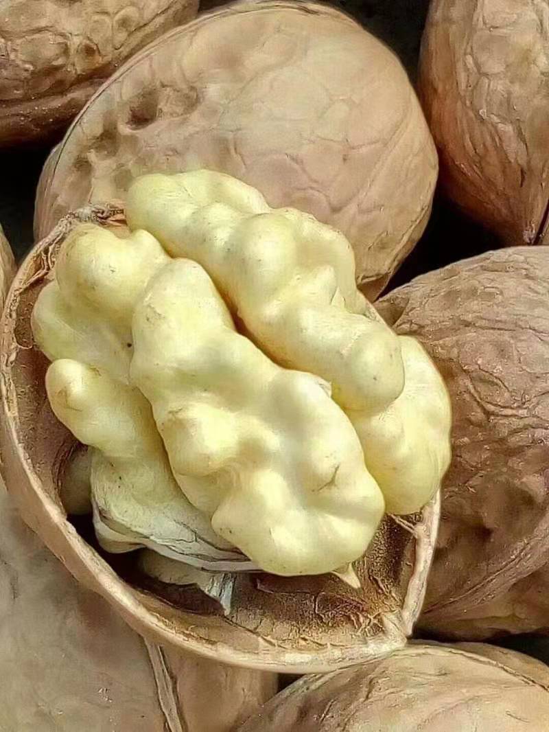 2024年新疆185纸皮核桃，5斤家庭装和礼盒装，全国包邮