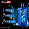 清扬(CLEAR)洗发水 男士去屑洗发露活力运动薄荷型500g(新老包装随机发)(氨基酸洗发) 商品缩略图0