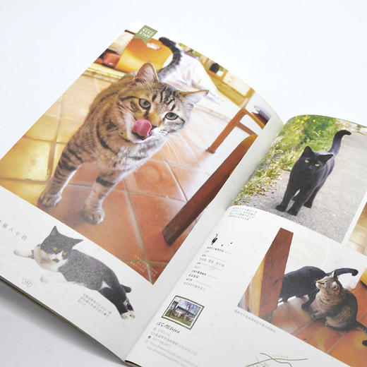 喵~欢迎来到日本的猫咪旅馆 商品图7