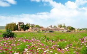 【部门活动15人起订】小鸟天堂+圭峰山红叶+梅州大院+浸泡康桥温泉悠闲江门2天温泉之旅