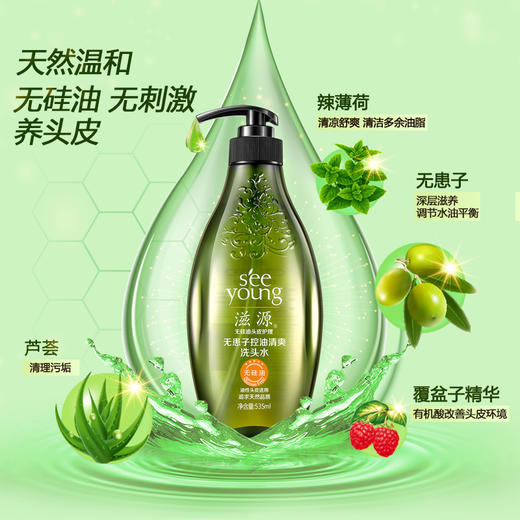 滋源无患子洗发水 无硅油控油清爽洗发露洗头膏535ml（补水控油 清爽蓬松 男女士 油性） 商品图2