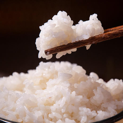 八十八倉 兴化大米2.5kg 当季新米 “江苏好大米”特等奖 商品图1