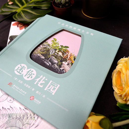 迷你花园：打造你的玻璃生态瓶 商品图1