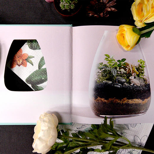 迷你花园：打造你的玻璃生态瓶 商品图2