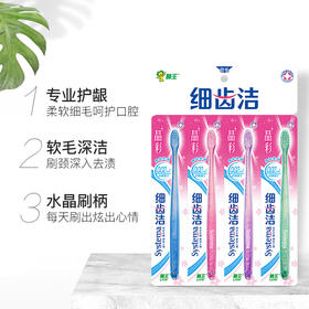 狮王(Lion)细齿洁晶彩软毛牙刷×4支（颜色随机发放）