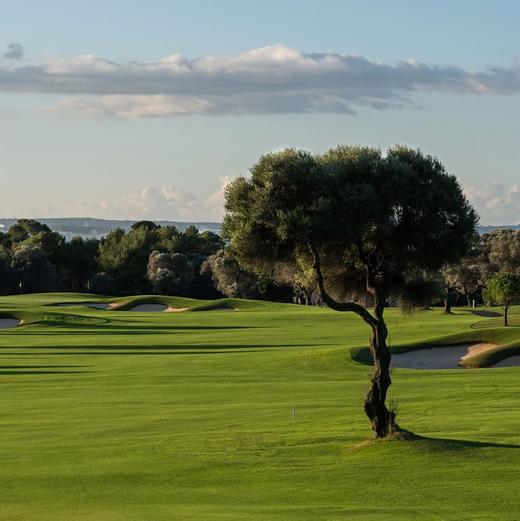 阿尔卡纳达高尔夫俱乐部 Clube de Golf Alcanada | 西班牙高尔夫球场俱乐部 | 欧洲 | Spain 商品图7