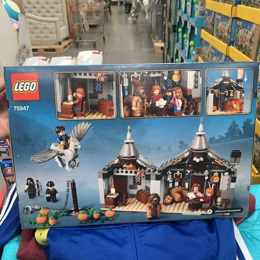 乐高 LEGO 75947 积木玩具 哈利波特 海格小屋-营救巴克比克 496块 商品图1