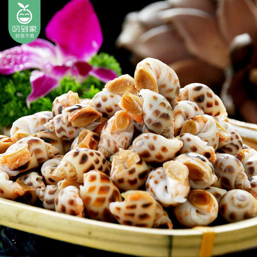 野生花螺/1盒(约250g,约35个)