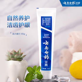 云南白药牙膏  清新口气 健齿护龈防蛀去牙垢 留兰香型 65g