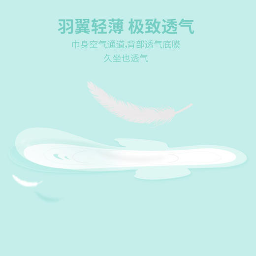 七度空间（SPACE7） 高端space7 MISS透气卫生巾 丝柔表层日用极薄 245mm*10片 商品图3