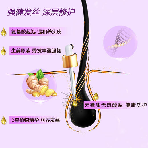 滋源洗发水套装 氨基酸生姜健发洗发3件套 洗535ml+旅行装60ml*2（无硅油 男女士 发丝脆弱人群适用） 商品图3