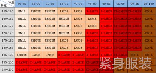 VENUM毒液DRAGON泰拳搏击散打格斗健身MMA综合格斗长裤压缩裤 商品图4
