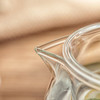 物生物（RELEA）小花壶 500ML男女士茶水分离杯子双层办公泡茶玻璃杯非保温杯高硼硅材质耐高温可加热水杯 商品缩略图2