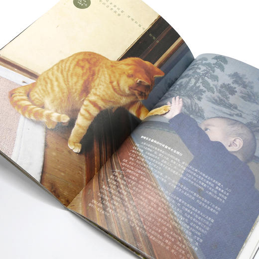 喵~欢迎来到日本的猫咪旅馆 商品图6