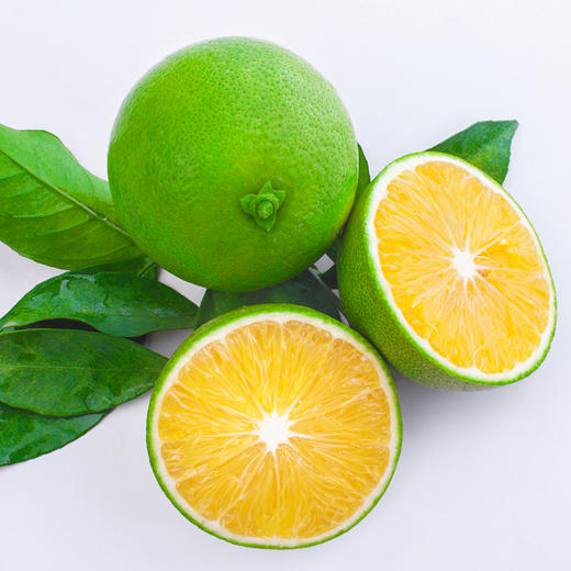 云南迦密橙   5斤精品装 商品图0