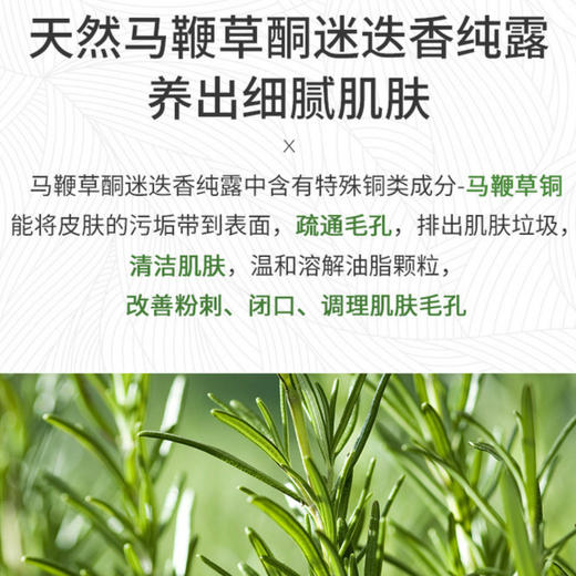 【马鞭草毛孔清洁纯露】迷迭香植物纯露 养出细腻肌肤 商品图2