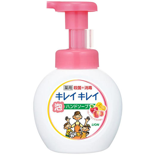 狮王 （Lion） 儿童洗手液 婴儿洗手液 宝宝洗手液 全植物 泡沫 洗手液250ml（水果香）日本原装进口 商品图0