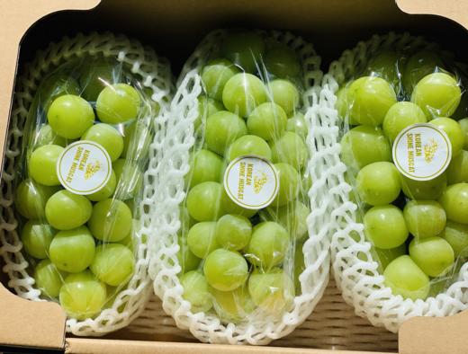 韩国shine muscat顶级晴王|极品玉子,颗颗玉珍珠,翠绿清亮,淡雅清爽