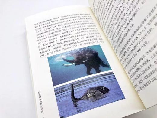 未解的宇宙 （ 继《时间的形状:相对论史话》后汪诘老师全新创作《未解的宇宙》） 商品图7