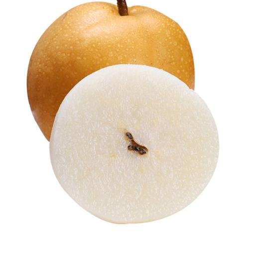 秋月梨丨汁水丰沛清甜可口肉质细腻无渣