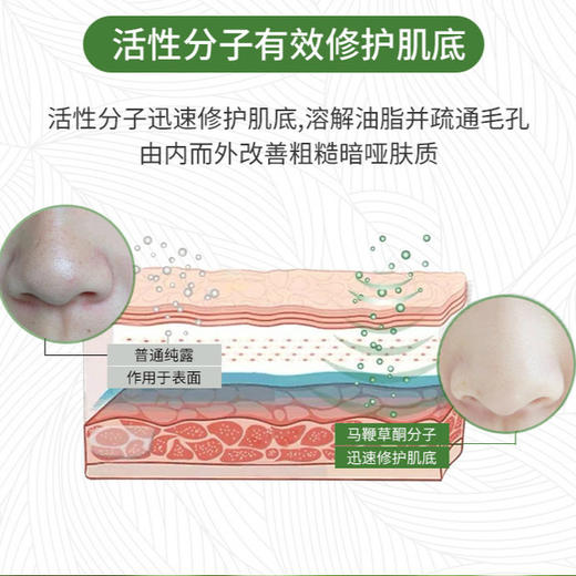 【马鞭草毛孔清洁纯露】迷迭香植物纯露 养出细腻肌肤 商品图3
