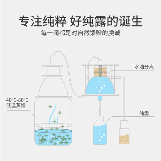 【马鞭草毛孔清洁纯露】迷迭香植物纯露 养出细腻肌肤 商品图4