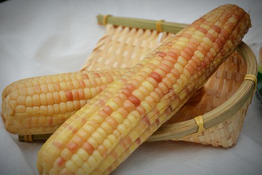 来自云南西双版纳的即食香糯小玉米，非转基因糯玉米，全程生态种植 商品图4