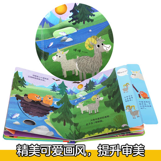偷偷看自然翻翻书（共2册）丛林动物+森林动物  原价99.6 商品图5