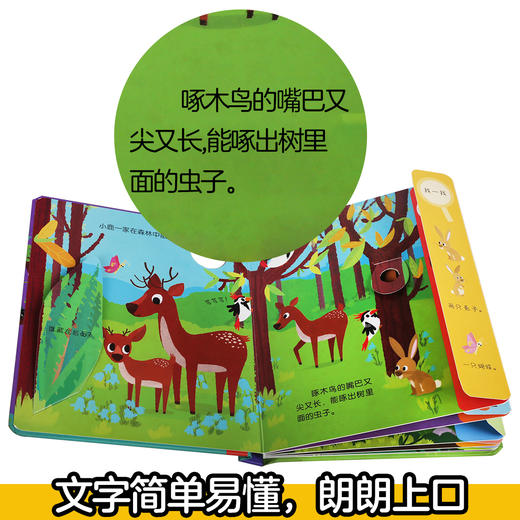 偷偷看自然翻翻书（共2册）丛林动物+森林动物  原价99.6 商品图3