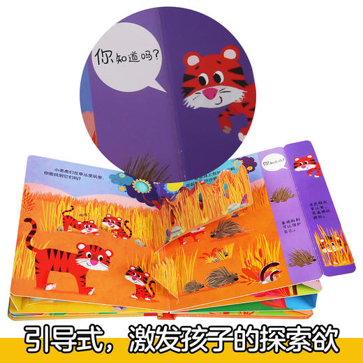 偷偷看自然翻翻书（共2册）丛林动物+森林动物  原价99.6 商品图6