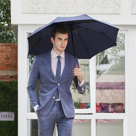 京东京造 雨伞 自动折叠晴雨伞 防水伞布一甩即干 方便收纳 藏蓝色