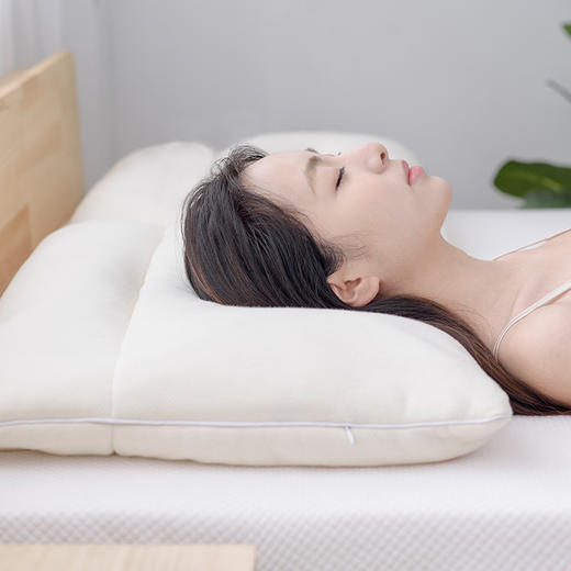 京东京造 枕头 荞麦枕头 大凉山高山苦荞全棉舒睡枕芯睡眠填充分区高度可调枕头 商品图1