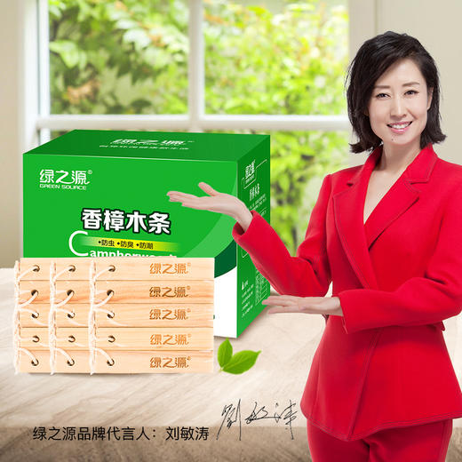 绿之源 15条裝天然香樟木条樟木球块片 家具书桌衣柜防霉防潮蛀虫除味替代樟脑丸卫生球 商品图0