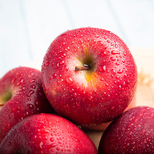 助力丨甘肃花牛蛇果红苹果 清甜可口 健康美味 富含人体所需微量元素 商品图1