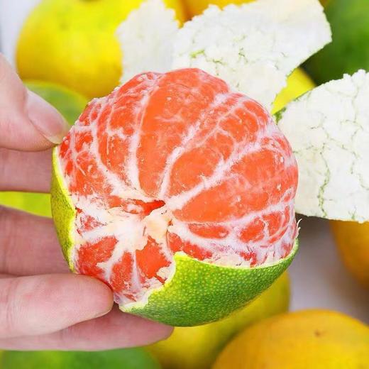 【江西赣南爆汁蜜橘】国产爆汁蜜桔，新鲜启动了，吃就吃个过瘾 商品图3