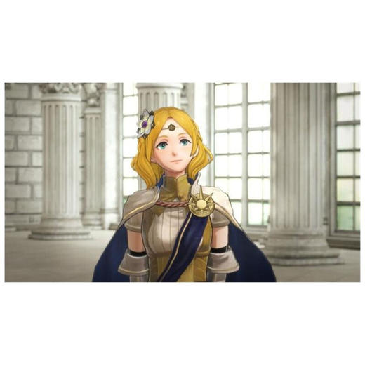 【共享租借】任天堂switch游戏卡 火焰之纹章 无双（英文版） 商品图6