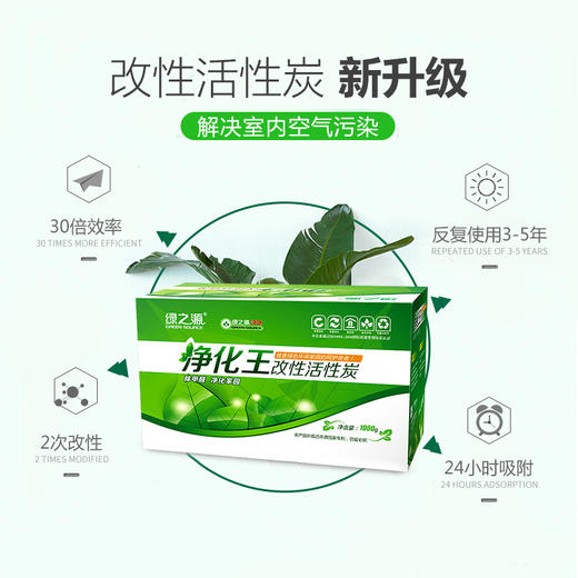 绿之源 1kg净化王活性炭 家居新房装修竹炭包新汽车内用吸去除甲醛清除剂除臭去味除味剂防潮碳包 商品图1