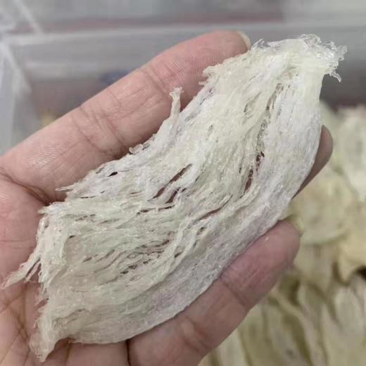 泰南海岛金丝燕燕窝大燕条100g