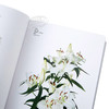 【中商原版】【中商原版】花色指南（百科）英版 英文原版 Flower Color Guide 商品缩略图3