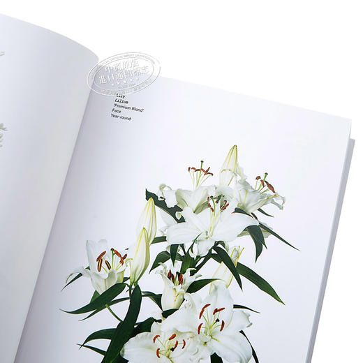 【中商原版】【中商原版】花色指南（百科）英版 英文原版 Flower Color Guide 商品图3