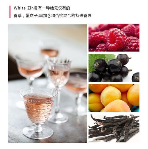 白金粉黛 White Zinfandel 商品图4