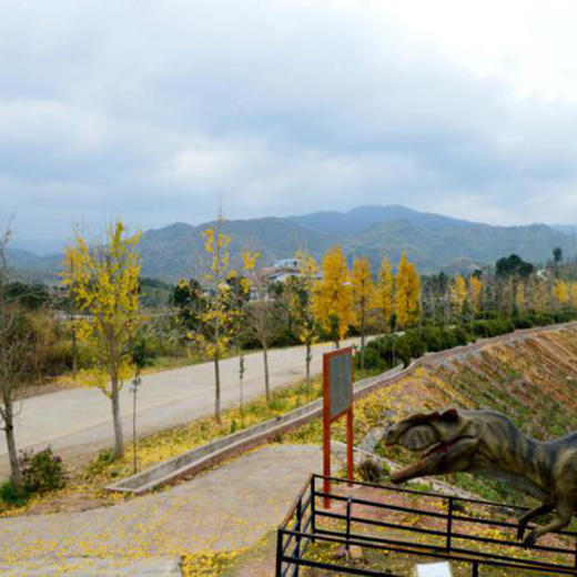 国庆专场南雄香草世界森林小木屋298元套限时抢购前十名入住的客户