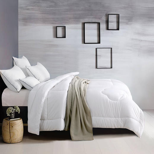 京东京造 天然新疆棉花被芯 纯棉秋冬被全棉被子棉花胎学生 220×240cm 商品图0